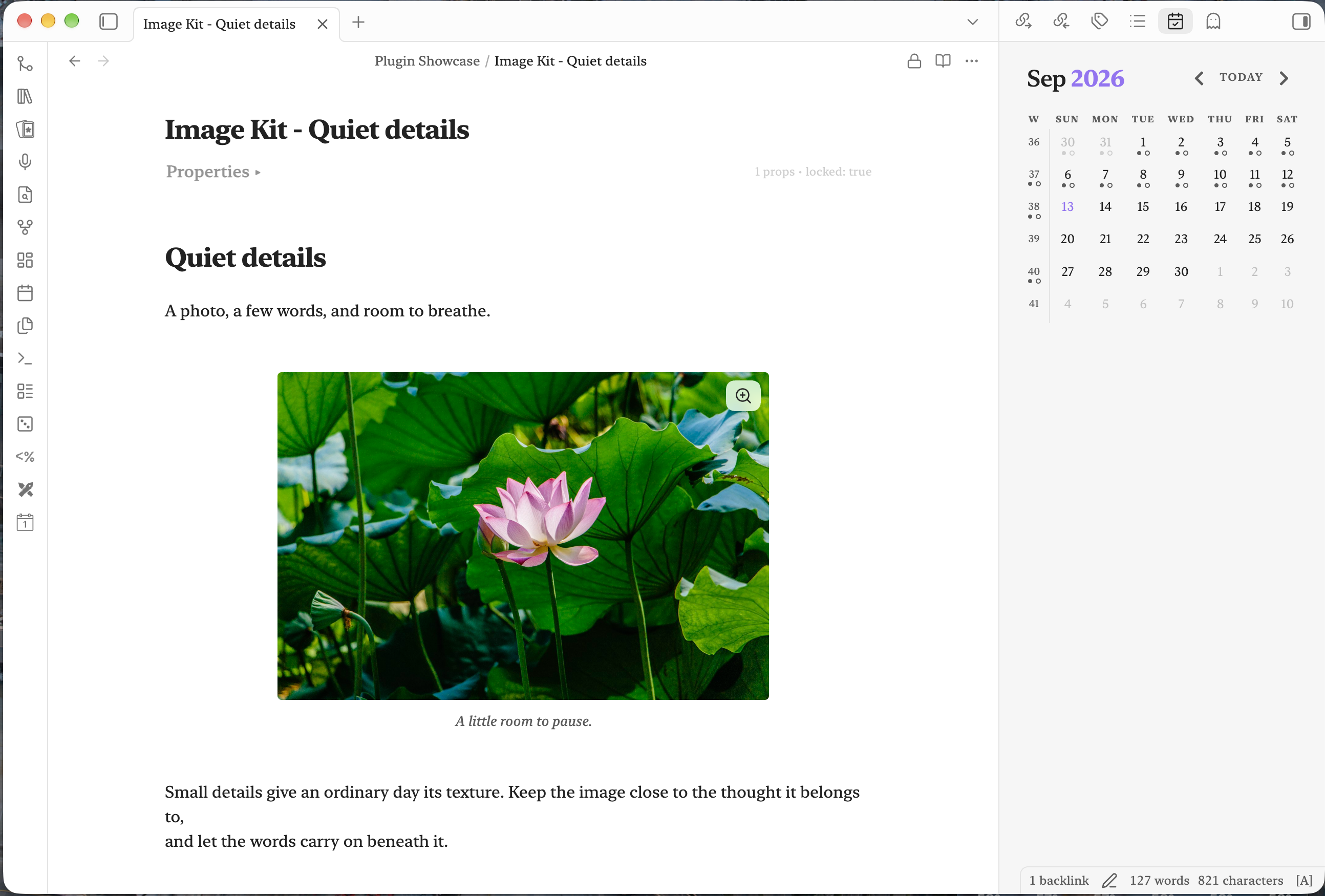 A note locked with Page Lock: image viewing remains available and editing controls are hidden