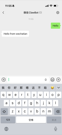 Phone chat with the bot