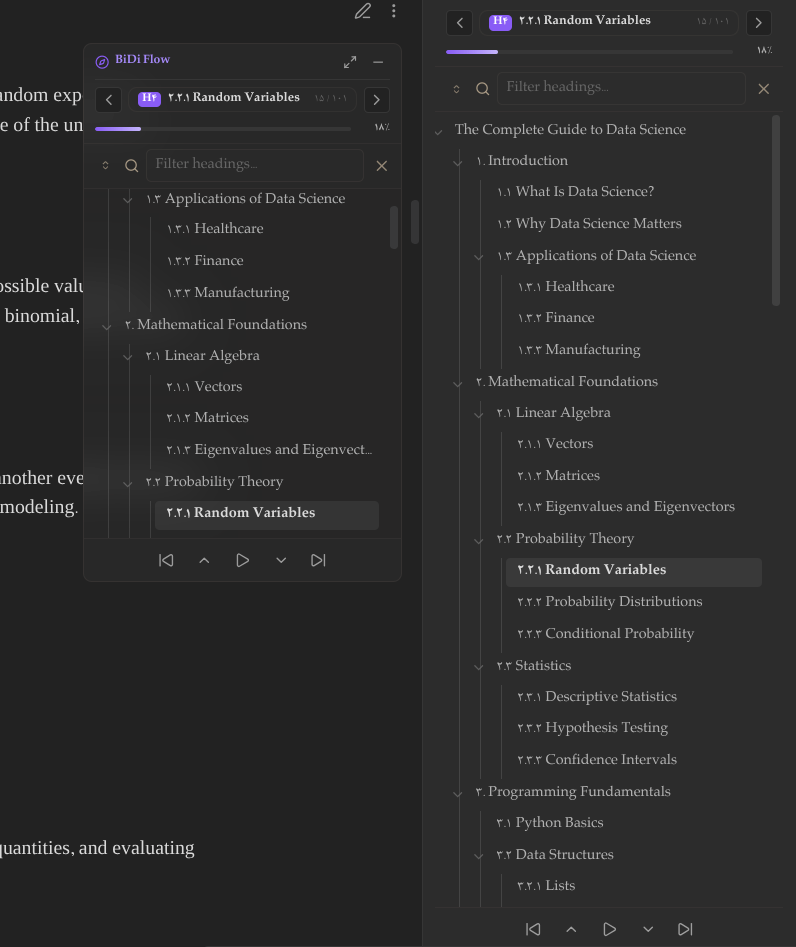 BiDi Flow Navigator Dark Theme