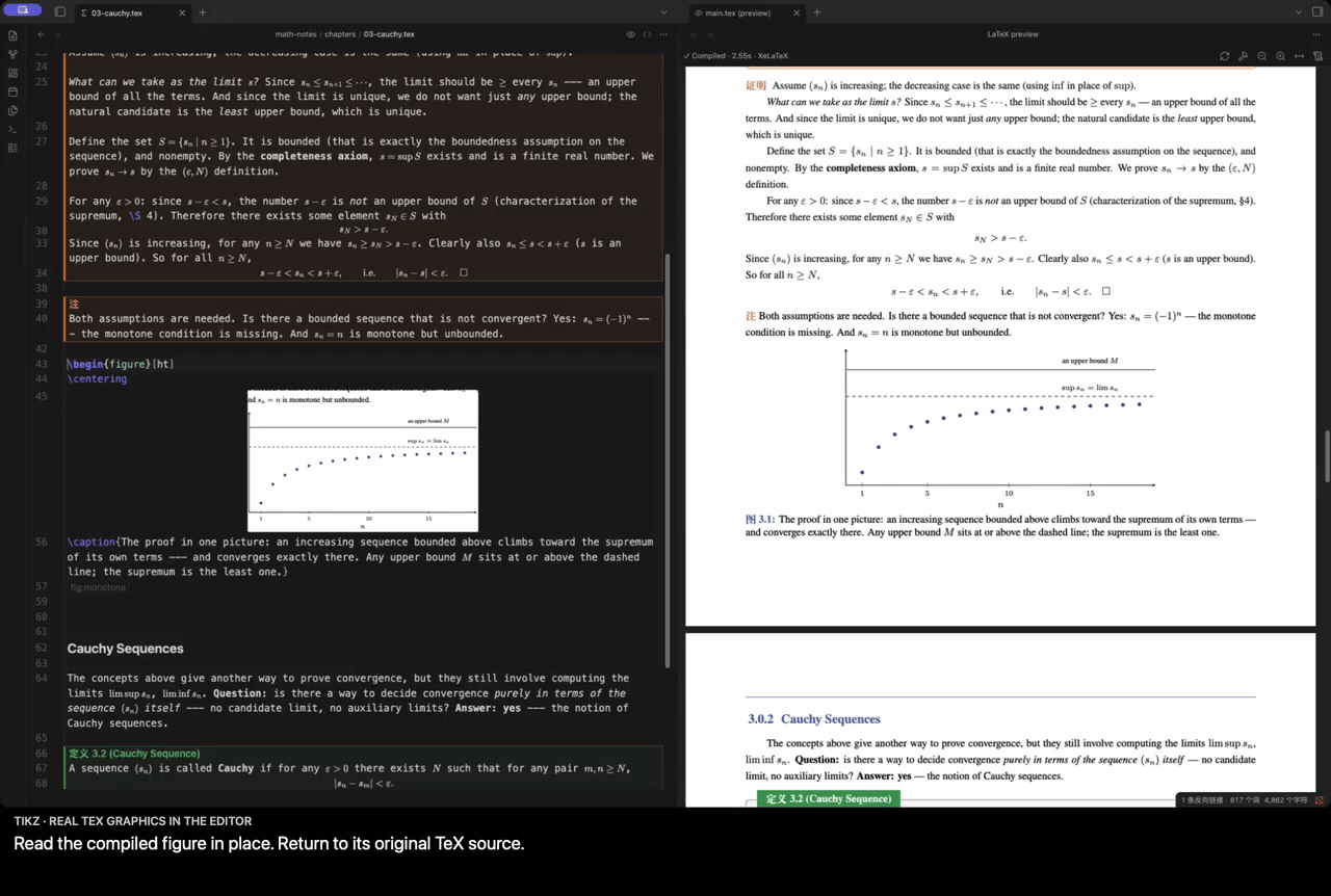 Actual TeX figure crop in the editor